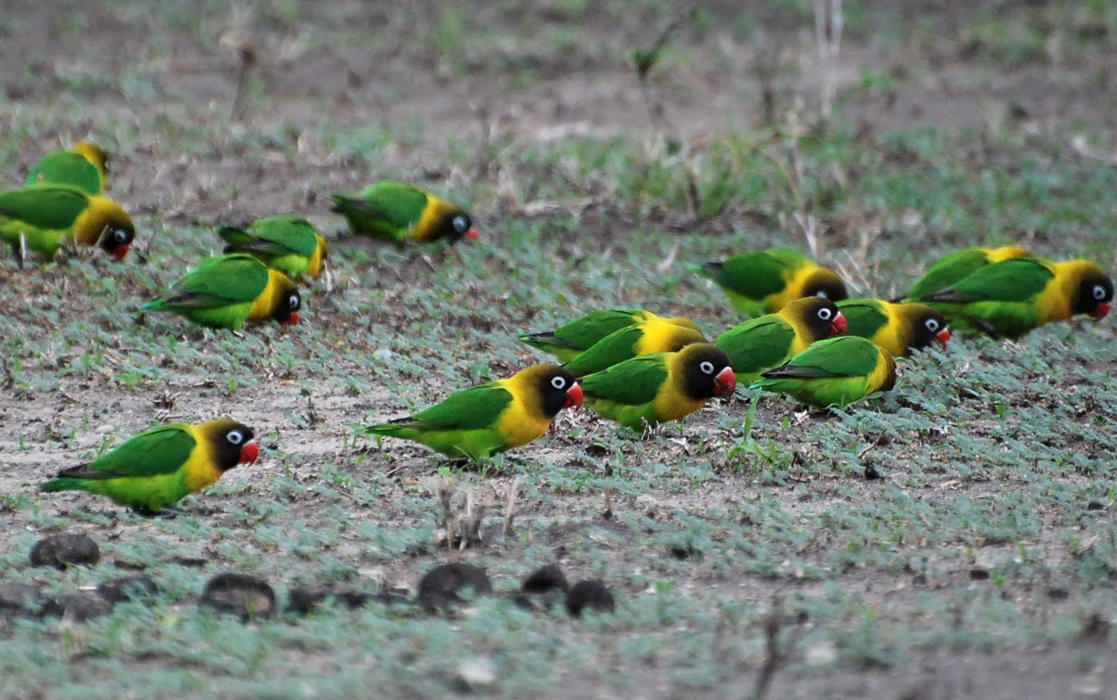 Welcome to Tarangire National Park 